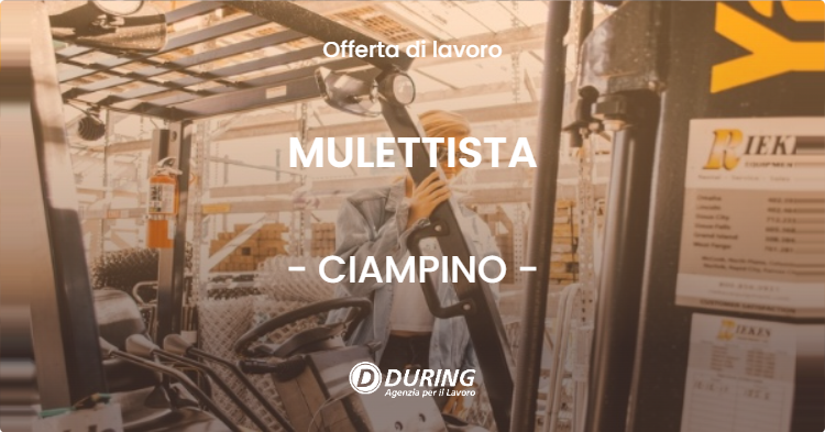 OFFERTA LAVORO - MULETTISTA - CIAMPINO