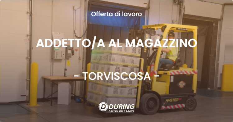 OFFERTA LAVORO - ADDETTOA AL MAGAZZINO - TORVISCOSA