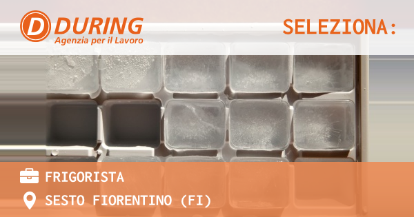 OFFERTA LAVORO - FRIGORISTA - SESTO FIORENTINO (FI)