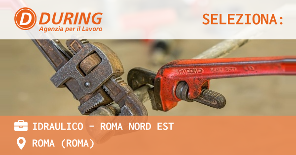 OFFERTA LAVORO - IDRAULICO - ROMA NORD EST - ROMA (Roma)