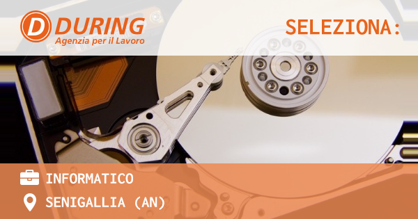OFFERTA LAVORO - INFORMATICO - SENIGALLIA (AN)