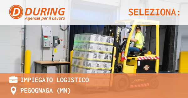 OFFERTA LAVORO - IMPIEGATO LOGISTICO - PEGOGNAGA (MN)