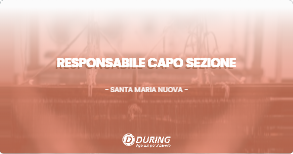 OFFERTA LAVORO - RESPONSABILE CAPO SEZIONE - SANTA MARIA NUOVA (AN)