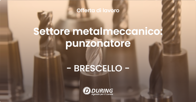 OFFERTA LAVORO - Settore metalmeccanico: punzonatore - BRESCELLO