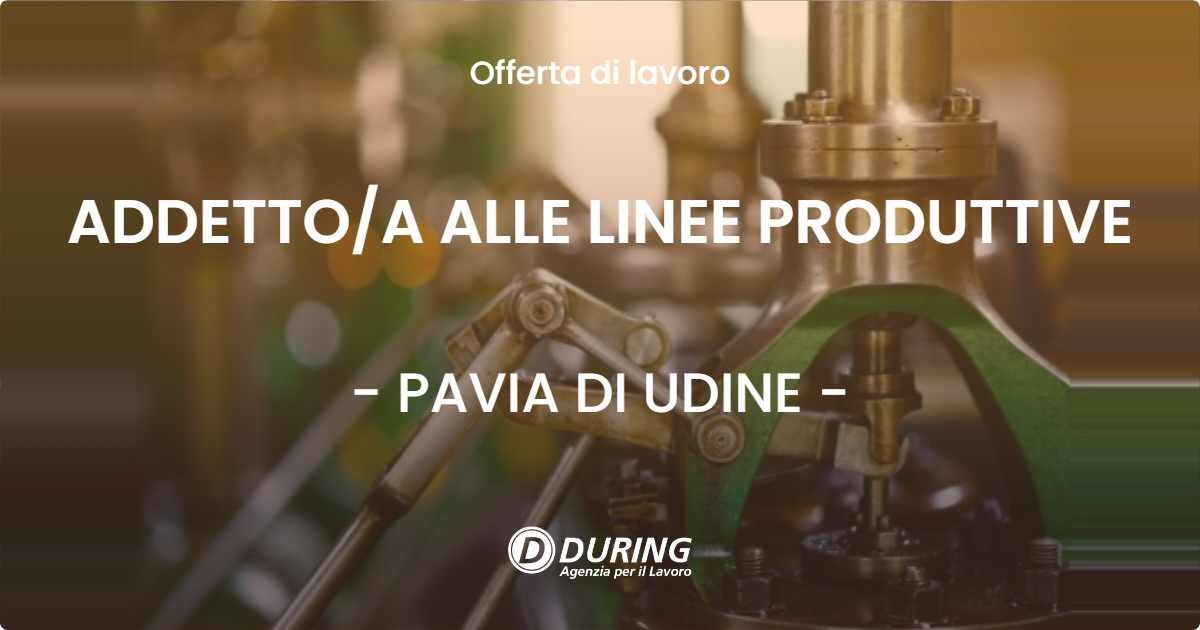 OFFERTA LAVORO - ADDETTOA ALLE LINEE PRODUTTIVE - PAVIA DI UDINE