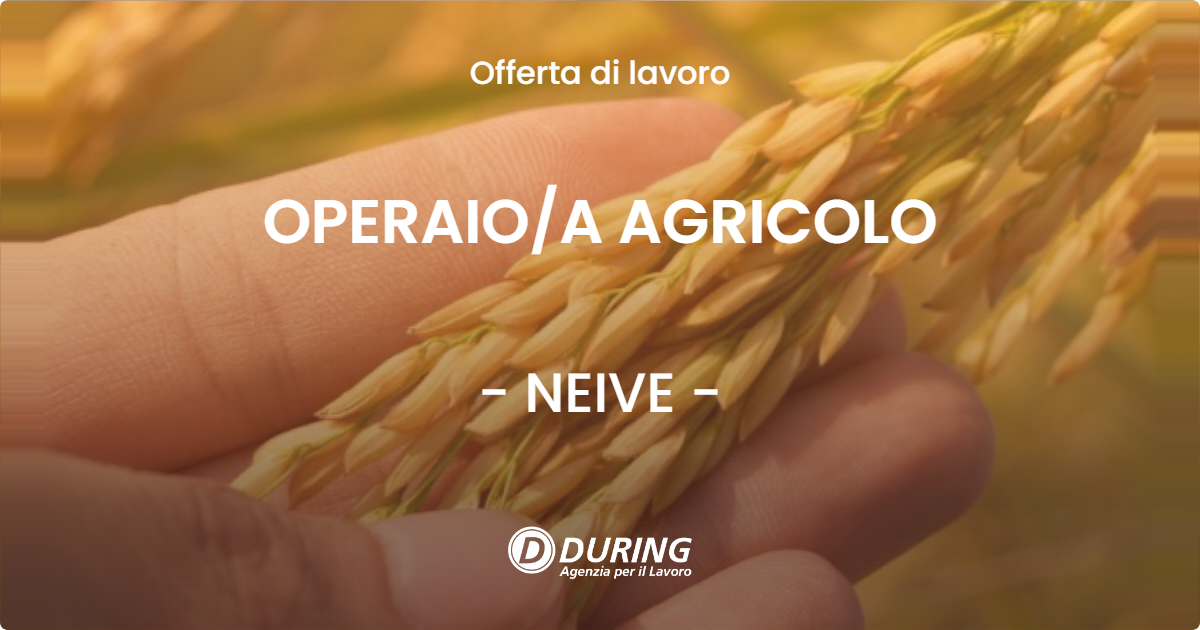 OFFERTA LAVORO - OPERAIOA AGRICOLO - NEIVE