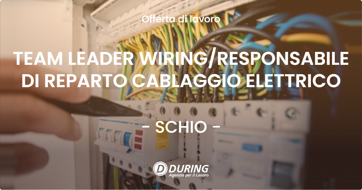 OFFERTA LAVORO - TEAM LEADER WIRINGRESPONSABILE DI REPARTO CABLAGGIO ELETTRICO - SCHIO