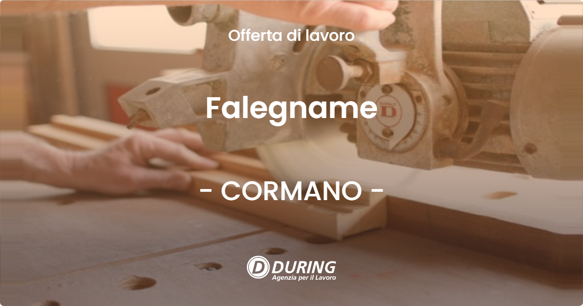 OFFERTA LAVORO - Falegname - CORMANO (MI)