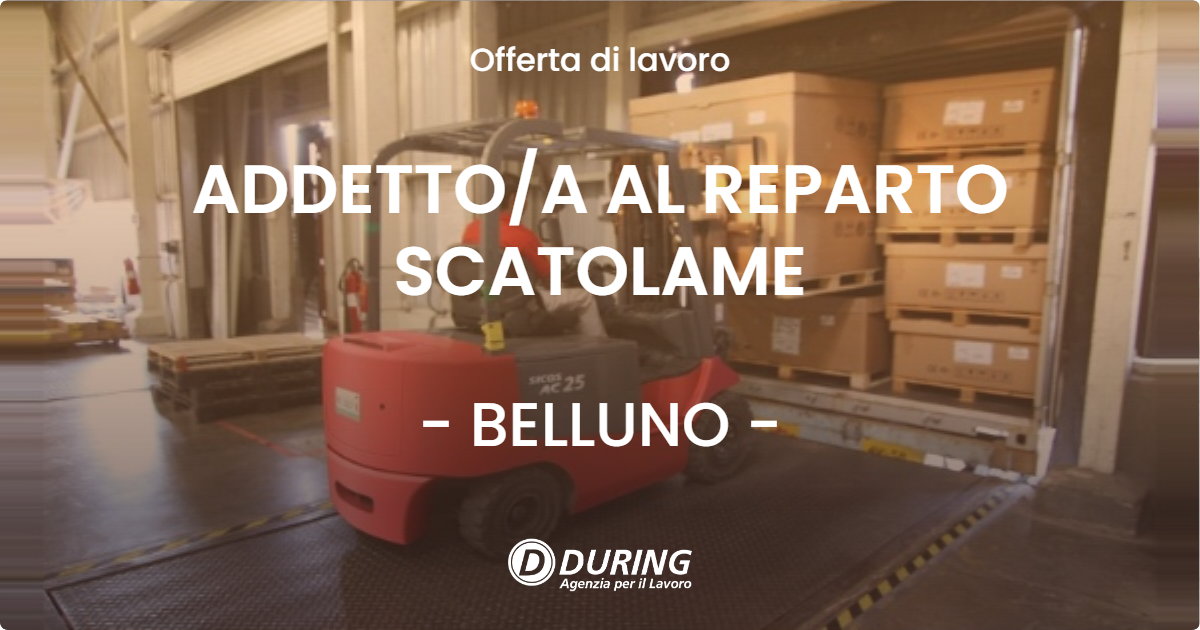 OFFERTA LAVORO - ADDETTO/A AL REPARTO SCATOLAME - BELLUNO (BL)