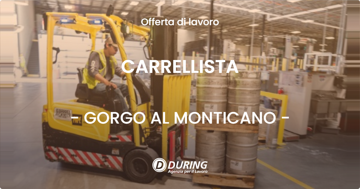 OFFERTA LAVORO - CARRELLISTA - GORGO AL MONTICANO (TV)