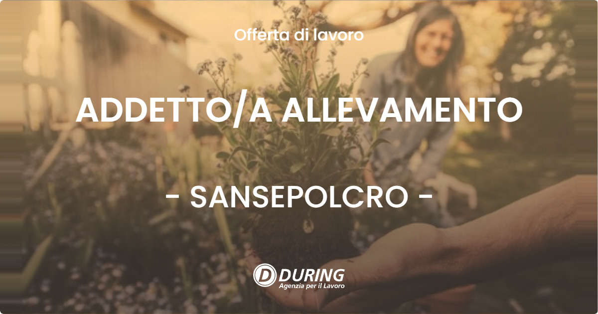 OFFERTA LAVORO - ADDETTOA ALLEVAMENTO - SANSEPOLCRO