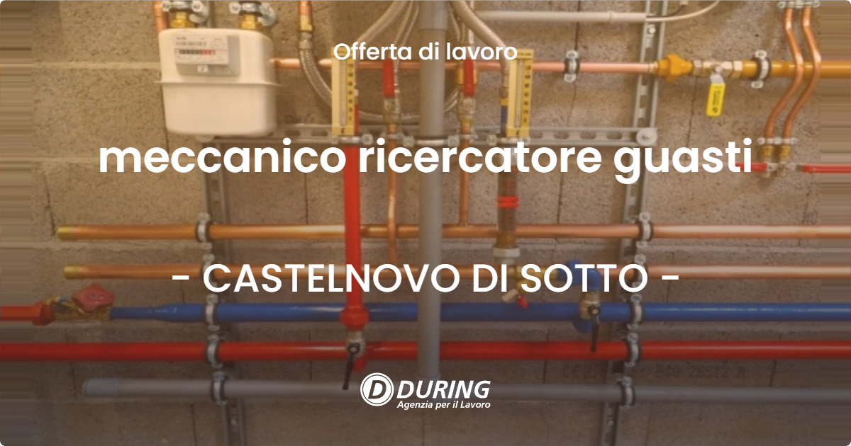 OFFERTA LAVORO - meccanico ricercatore guasti - CASTELNOVO DI SOTTO