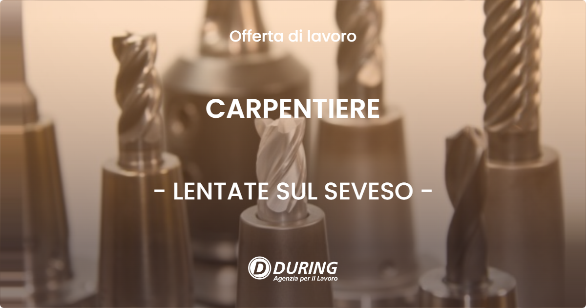 OFFERTA LAVORO - CARPENTIERE - LENTATE SUL SEVESO