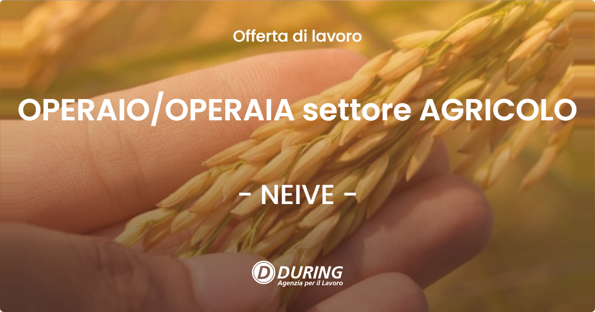 OFFERTA LAVORO - OPERAIOOPERAIA settore AGRICOLO - NEIVE