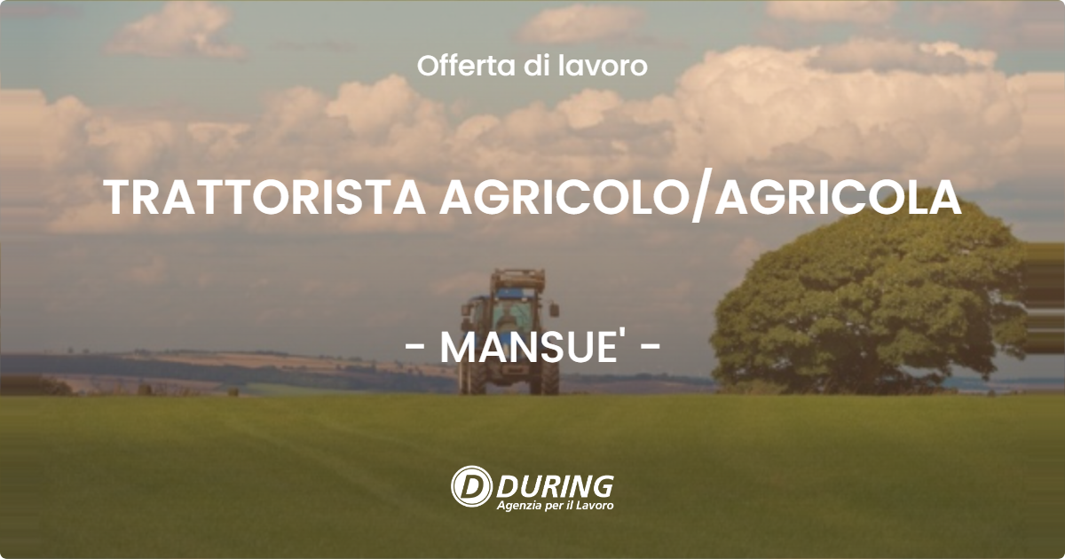 OFFERTA LAVORO - TRATTORISTA AGRICOLOAGRICOLA - MANSUE'