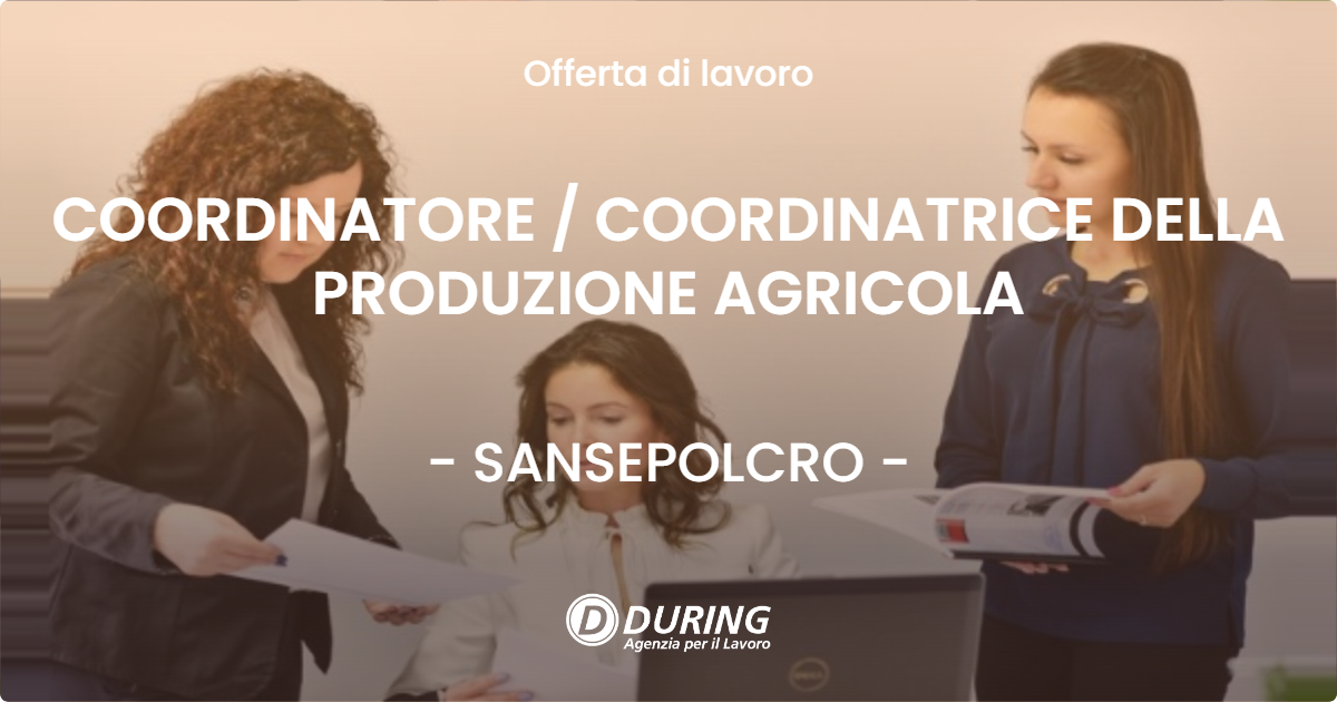 OFFERTA LAVORO - COORDINATORE  COORDINATRICE DELLA PRODUZIONE AGRICOLA - SANSEPOLCRO