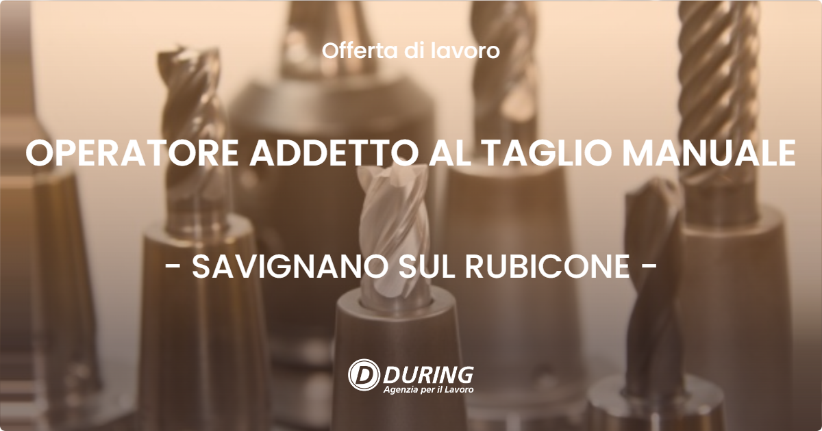 OFFERTA LAVORO - OPERATORE ADDETTO AL TAGLIO MANUALE - SAVIGNANO SUL RUBICONE