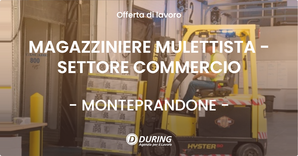 OFFERTA LAVORO - MAGAZZINIERE MULETTISTA - SETTORE COMMERCIO - MONTEPRANDONE (AP)