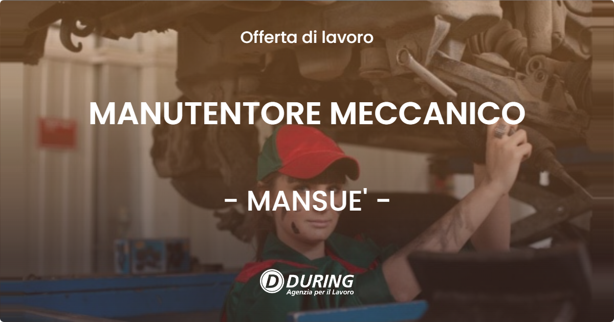 OFFERTA LAVORO - MANUTENTORE MECCANICO - MANSUE' (TV)