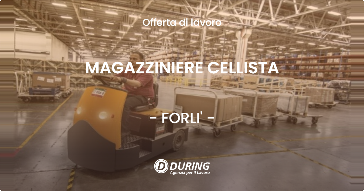 OFFERTA LAVORO - MAGAZZINIERE CELLISTA - FORLI' (FC)