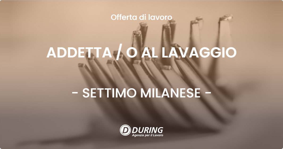 OFFERTA LAVORO - ADDETTA / O AL LAVAGGIO - SETTIMO MILANESE (MI)