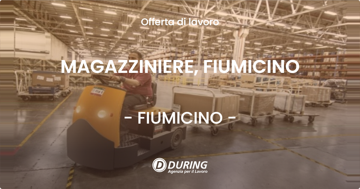 OFFERTA LAVORO - MAGAZZINIERE, FIUMICINO - FIUMICINO (Roma)
