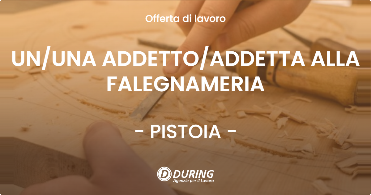 OFFERTA LAVORO - UN/UNA ADDETTO/ADDETTA ALLA FALEGNAMERIA - PISTOIA (PT)