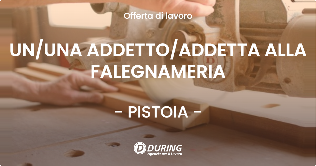 OFFERTA LAVORO - UN/UNA ADDETTO/ADDETTA ALLA FALEGNAMERIA - PISTOIA (PT)
