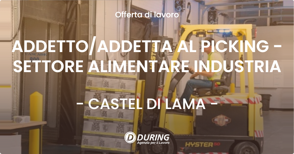 OFFERTA LAVORO - ADDETTOADDETTA AL PICKING - SETTORE ALIMENTARE INDUSTRIA - CASTEL DI LAMA