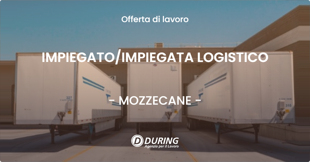 OFFERTA LAVORO - IMPIEGATO/IMPIEGATA LOGISTICO - MOZZECANE (VR)