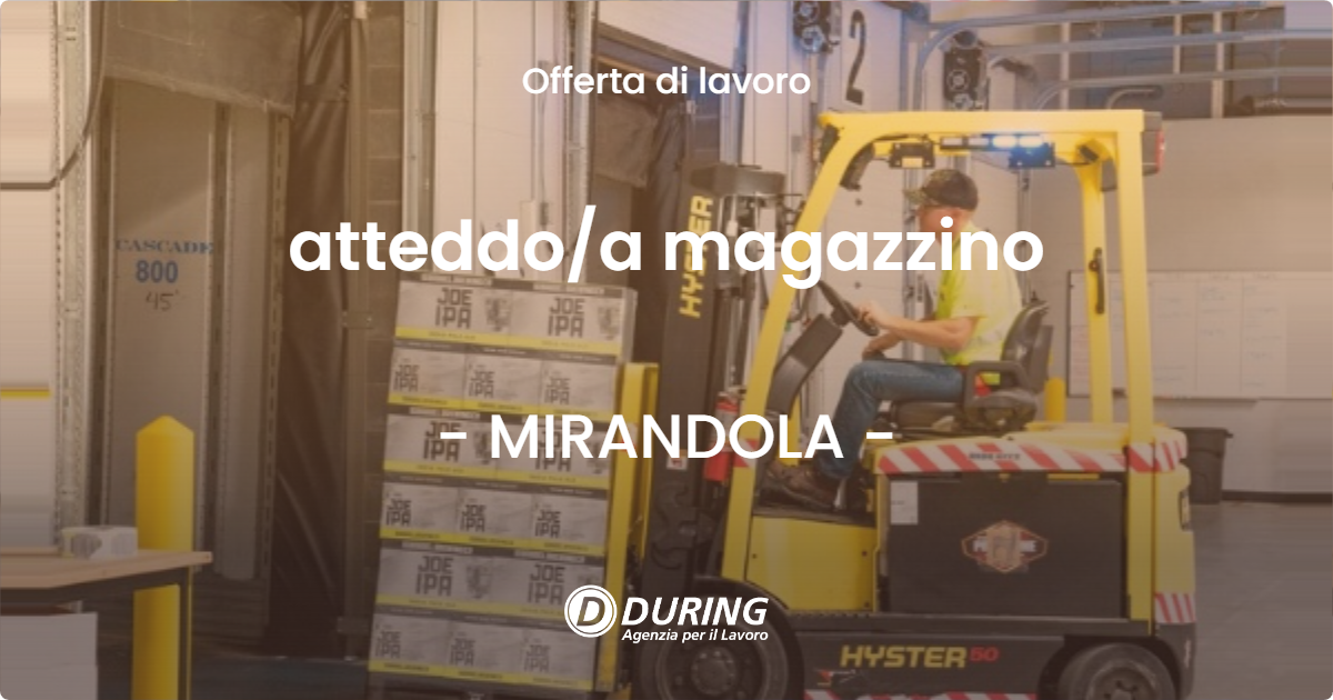 OFFERTA LAVORO - atteddo/a magazzino - MIRANDOLA (MO)