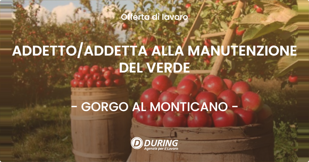 OFFERTA LAVORO - ADDETTO/ADDETTA ALLA MANUTENZIONE DEL VERDE - GORGO AL MONTICANO (TV)