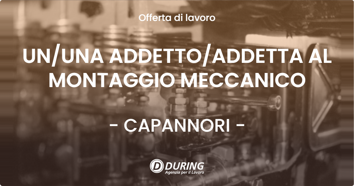 OFFERTA LAVORO - UN/UNA ADDETTO/ADDETTA AL MONTAGGIO MECCANICO - CAPANNORI (LU)