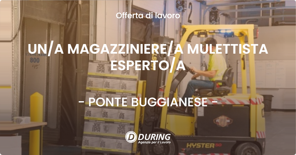 OFFERTA LAVORO - UN/A MAGAZZINIERE/A MULETTISTA ESPERTO/A - PONTE BUGGIANESE (PT)