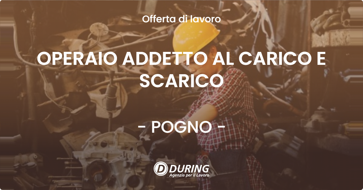 OFFERTA LAVORO - OPERAIO ADDETTO AL CARICO E SCARICO - POGNO (NO)