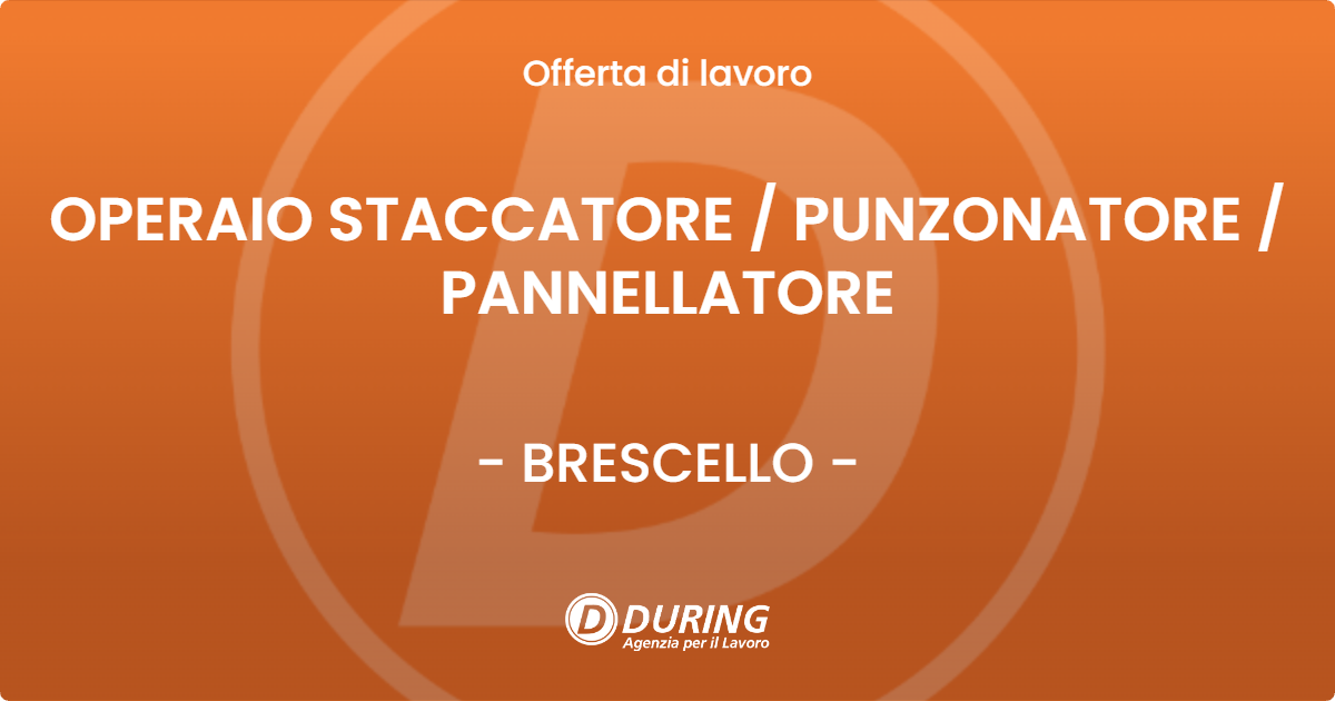 OFFERTA LAVORO - OPERAIO STACCATORE / PUNZONATORE / PANNELLATORE - BRESCELLO (RE)
