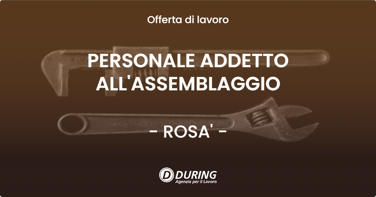 OFFERTA LAVORO - PERSONALE ADDETTO ALL'ASSEMBLAGGIO - ROSA' (VI)