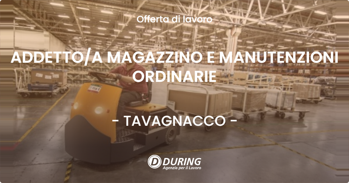 OFFERTA LAVORO - ADDETTOA MAGAZZINO E MANUTENZIONI ORDINARIE - TAVAGNACCO