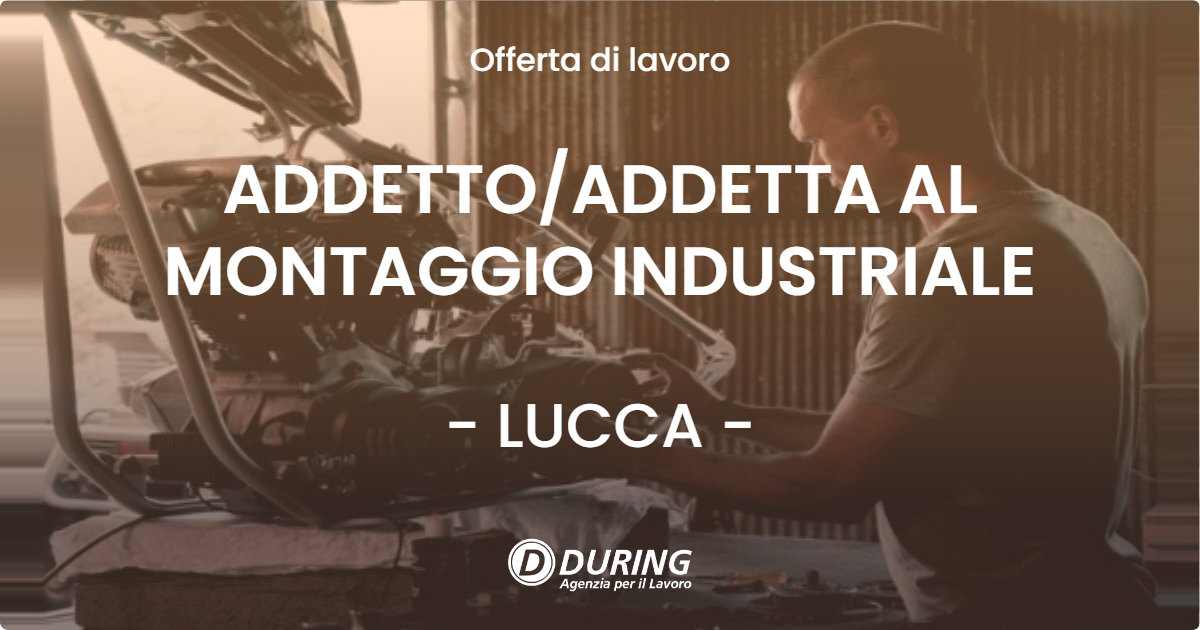 OFFERTA LAVORO - ADDETTOADDETTA AL MONTAGGIO INDUSTRIALE - LUCCA