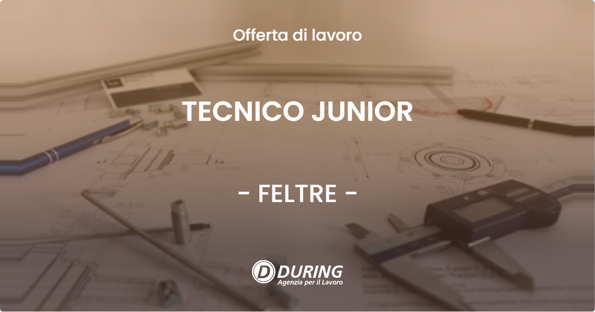 OFFERTA LAVORO - TECNICO JUNIOR - FELTRE